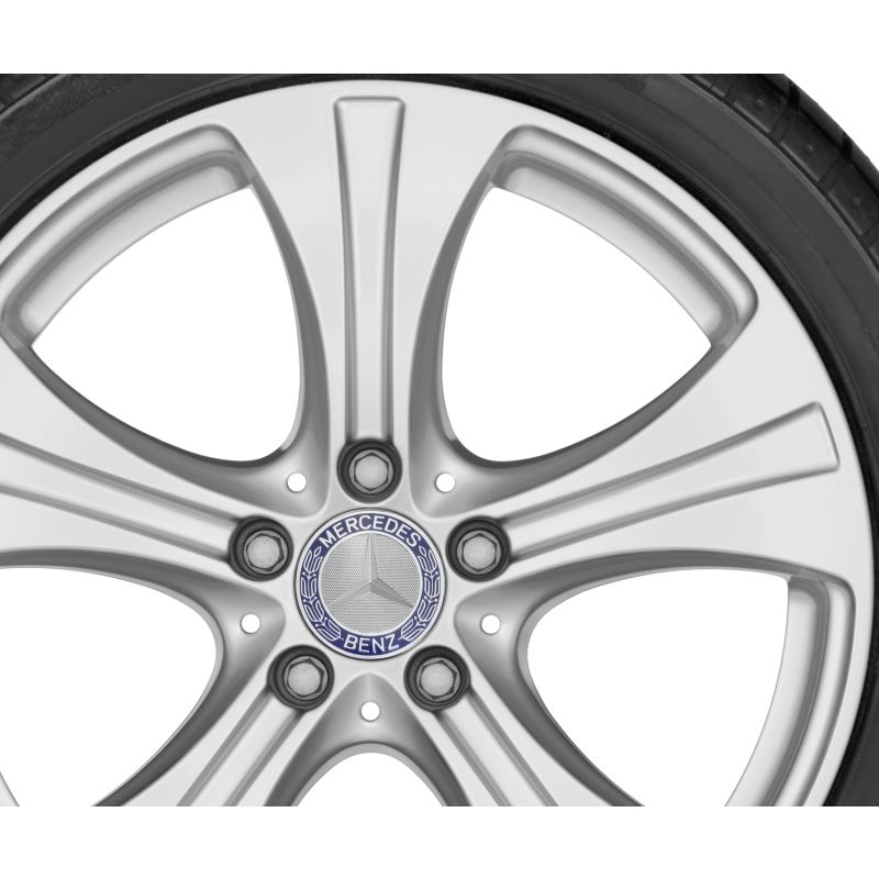 Cerchio a 5 razze, 45,7 cm (18 pollici)