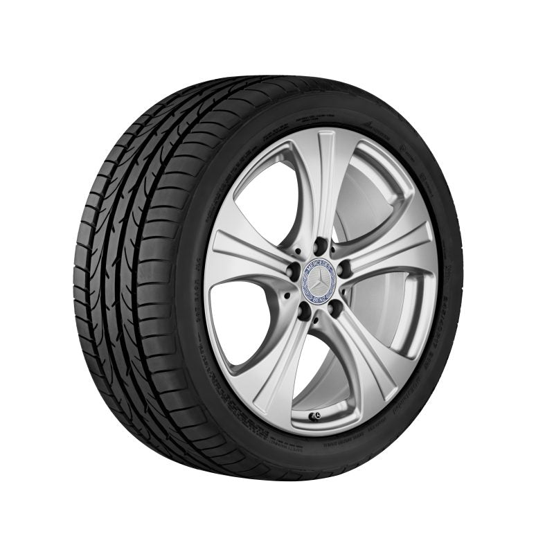Cerchio a 5 razze, 45,7 cm (18 pollici)